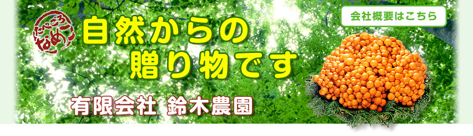 たべごろなめこ（自然からの贈り物です）